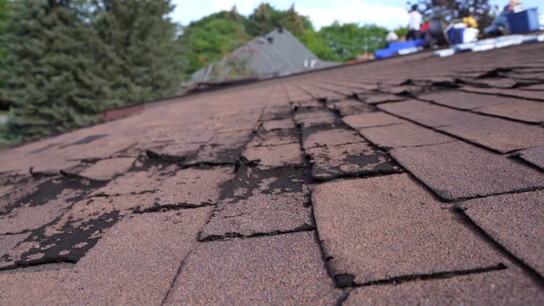 Best Slate Roofing  in Seminole, OK